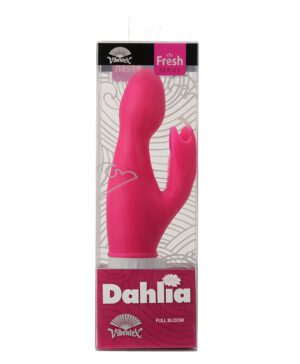 Dahlia Passion Pink