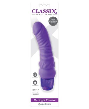 Mr. Right Vibrator Purple