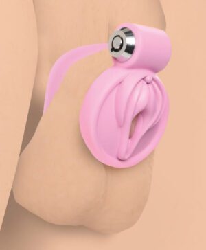 Pussification Vulva Chastity Cage